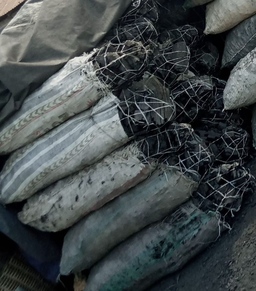 WhatsApp Image 2025-10-30 at 17.03.49_c689f4cf